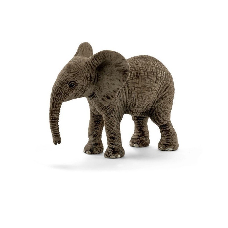 CUCCIOLO DI ELEFANTE AFRICANO CUCCIOLO DI ELEFANTE AFRICANO