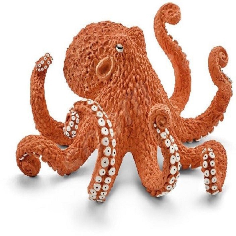 OCTOPUS