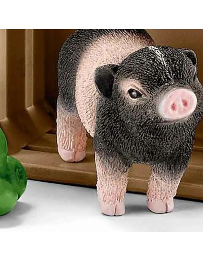 Mini pig with apples