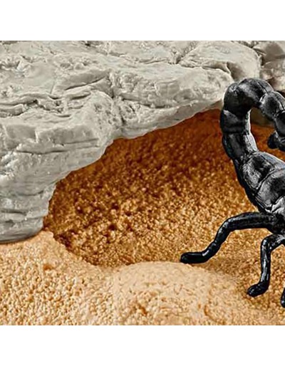Wildlife Scorpion Steinbruch