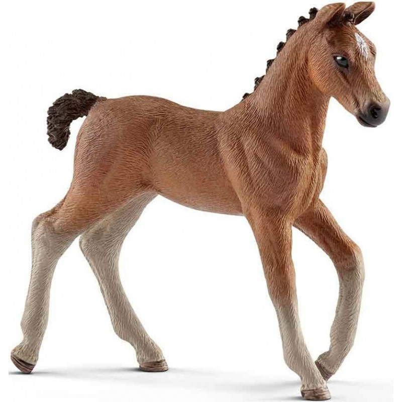 HANNOVER FOAL HANNOVER FOAL