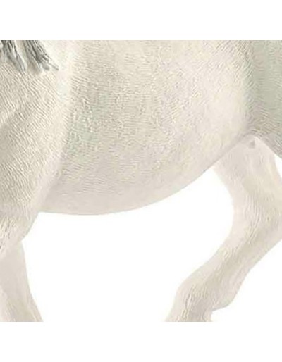 Lipizzan Mare Schleich