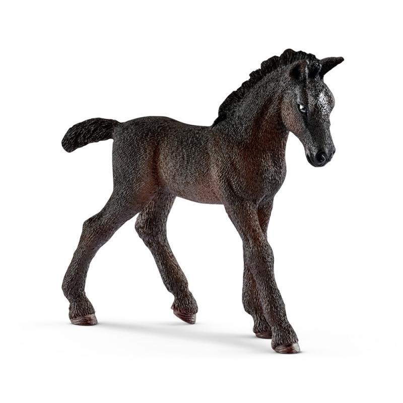 FOAL LIPIZZANO FOAL LIPIZZANO