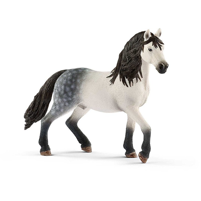 ANDALUSIAN STALLONE ANDALUSIAN STALLONE