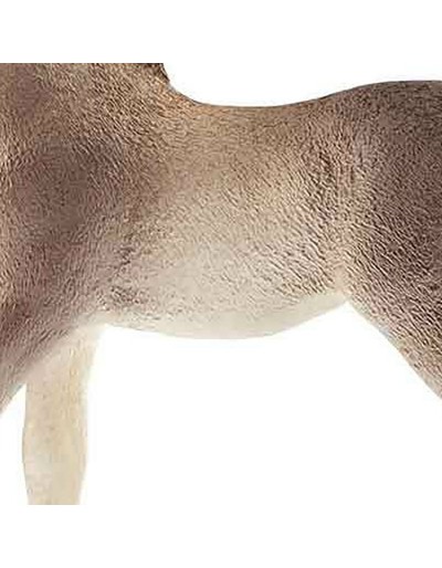 Andalusian foal schleich character
