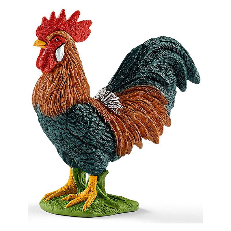 Coq