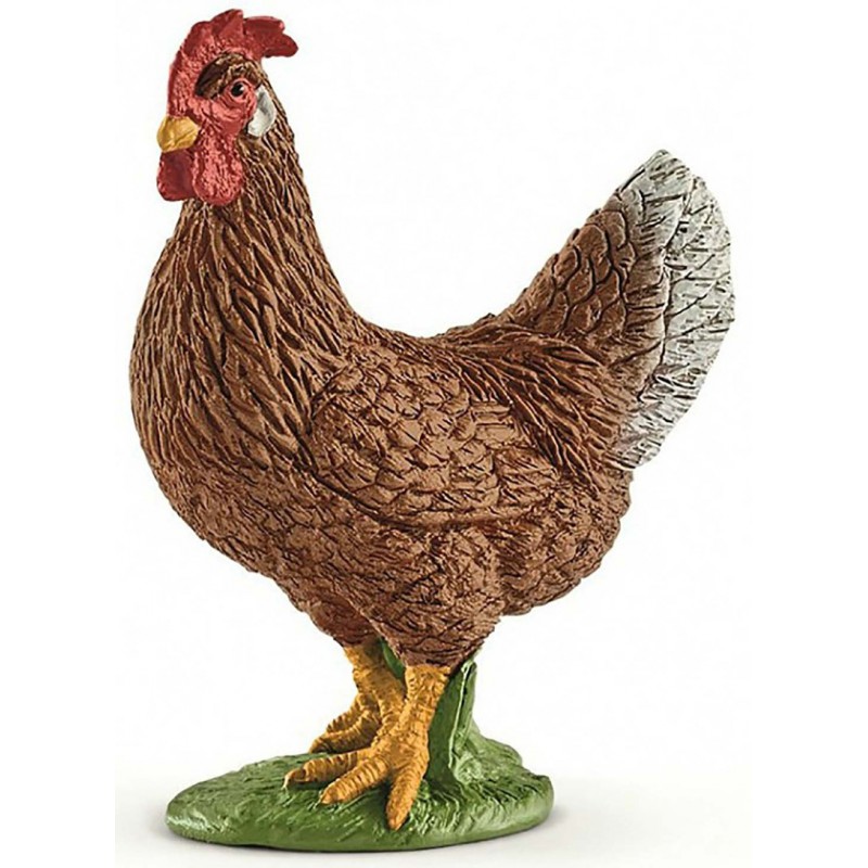 Hen