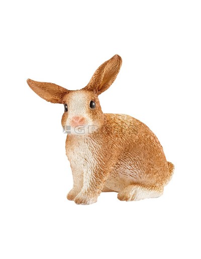 Conejo