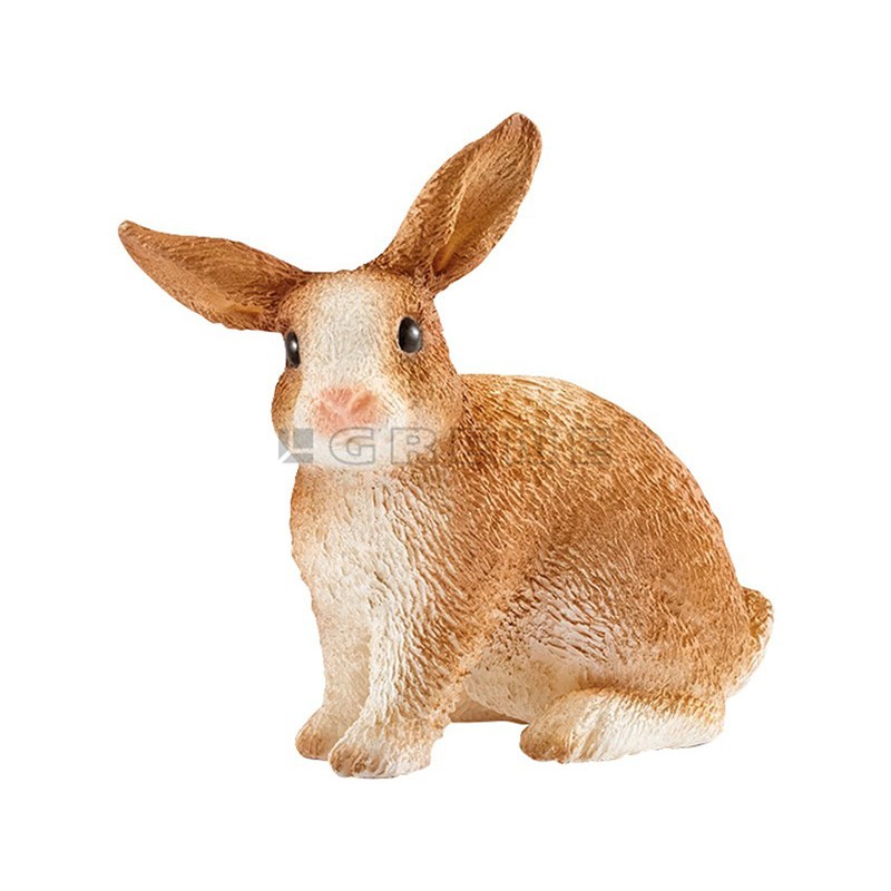 Rabbit