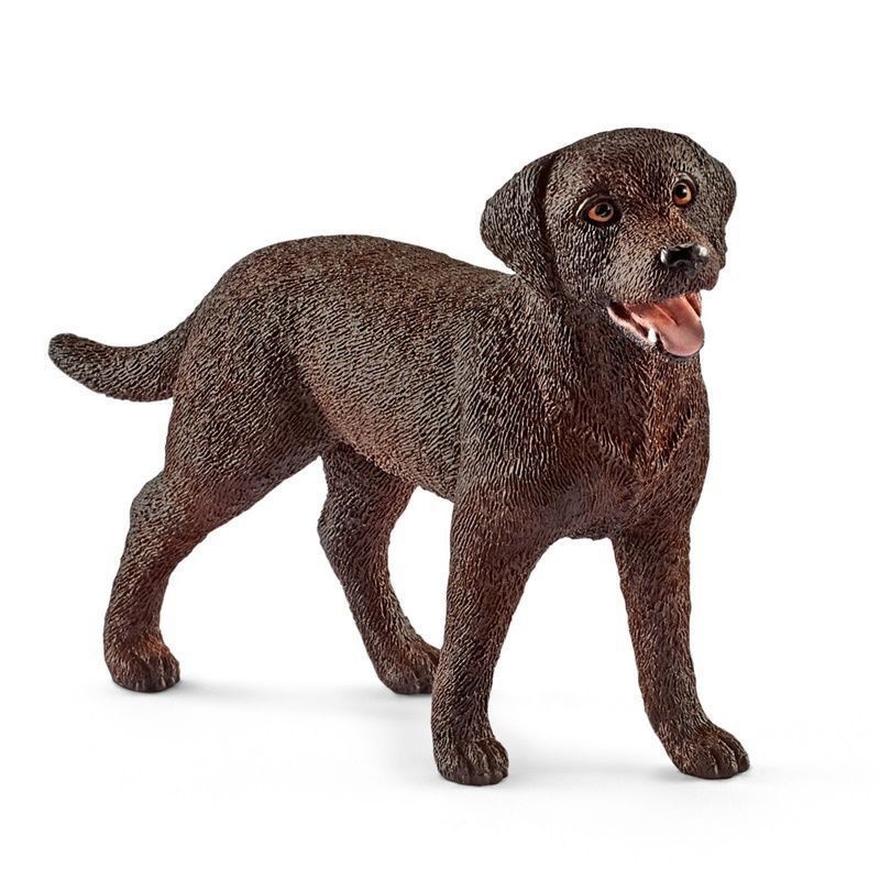 LABRADOR RETRIEVER FEmmINA LABRADOR RETRIEVER FEmmINA