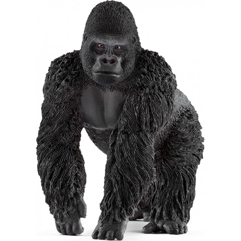 MALE GORILLA