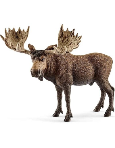 ELK