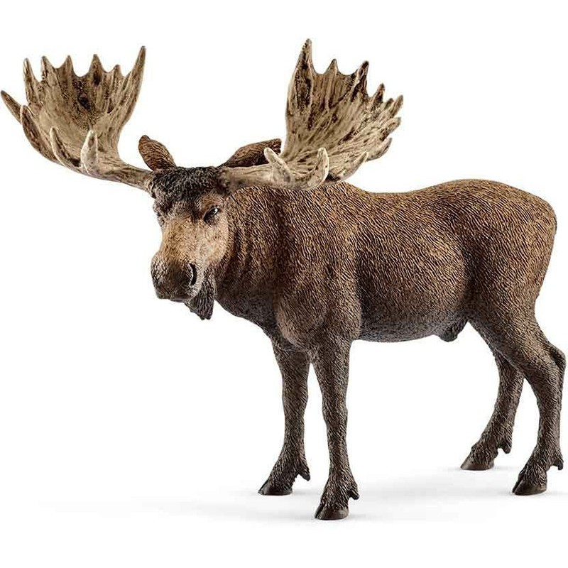 ELK