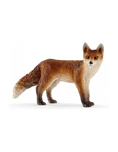 Renard