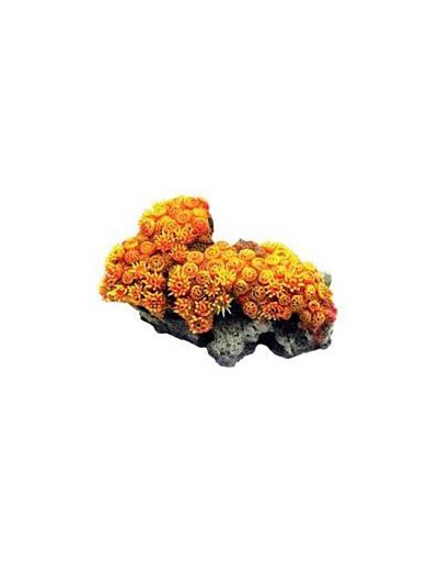5X7H cm corallo finto