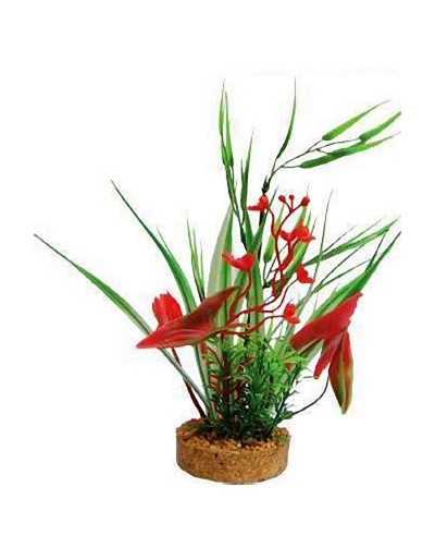Decorative plant for aquarium with phytos