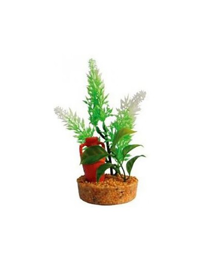 Decoratieve plant voor aquarium