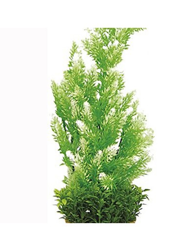 Haquoss Phytos Non toxic Plant For Freshwater