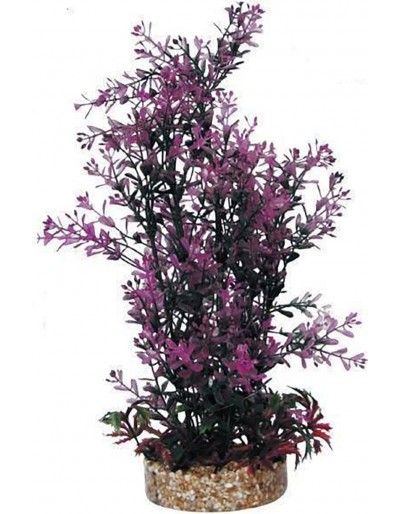 HAQUOSS PHYTOS 23 9X9X30H cm planta verde decorativa e lilás