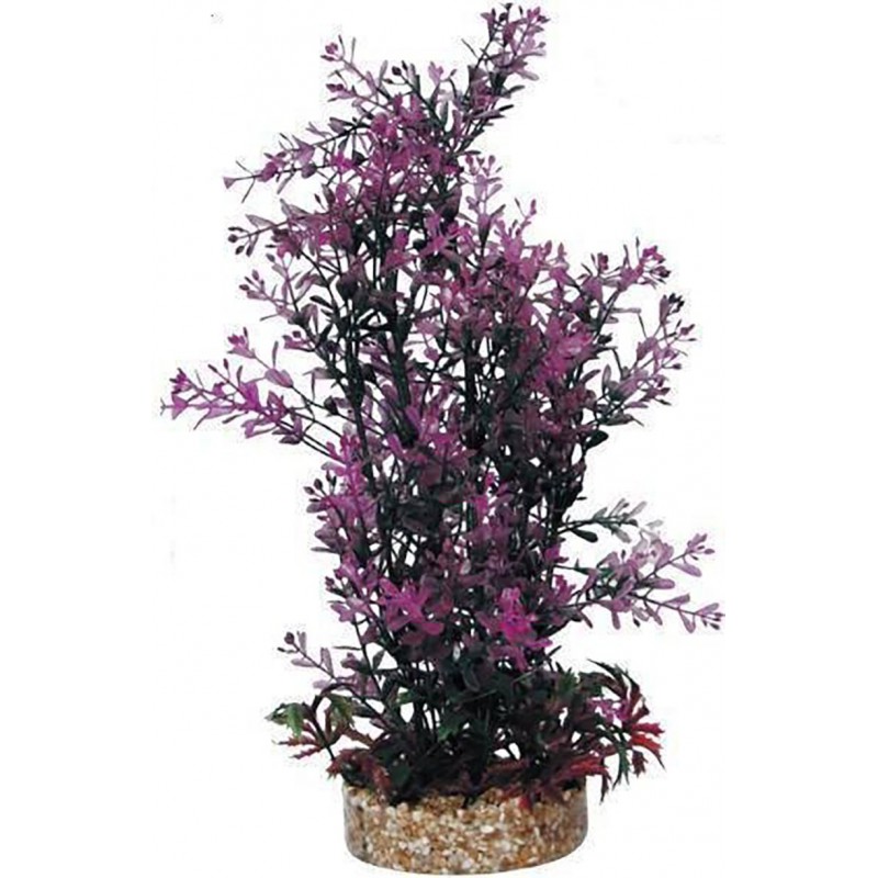 HAQUOSS PHYTOS 23 9X9X30H cm planta verde decorativa e lilás