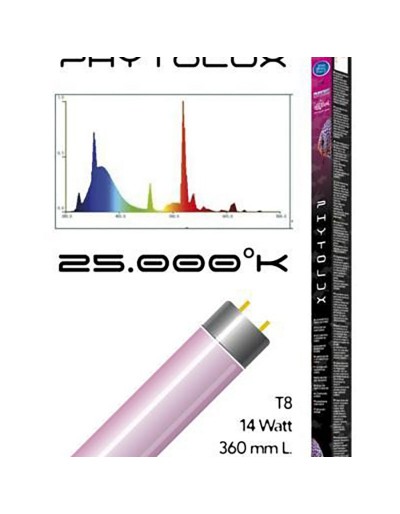 Haquoss phytolux różowe światło