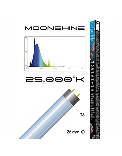 Haquoss MOONSHINE 30 Watt 895mm