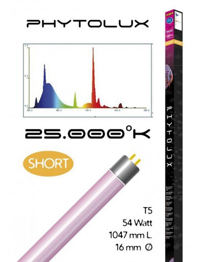 HAQUOSS PHYTOLUX COURT 54 WATTS 1047mm