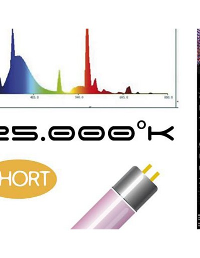 HAQUOSS PHYTOLUX COURT 54 WATTS 1047mm