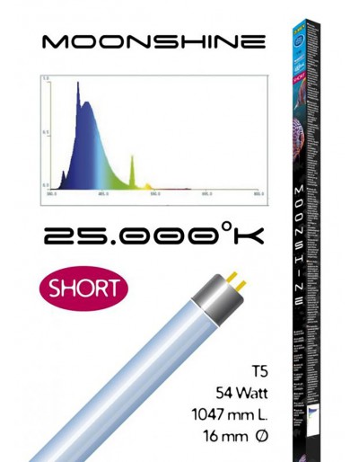 HAQUOSS MOONSHINE SHORT 54 WATT 1047mm