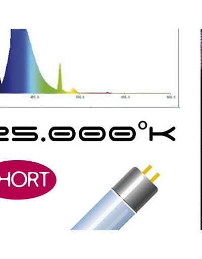 Compatible with moon shine short juwel