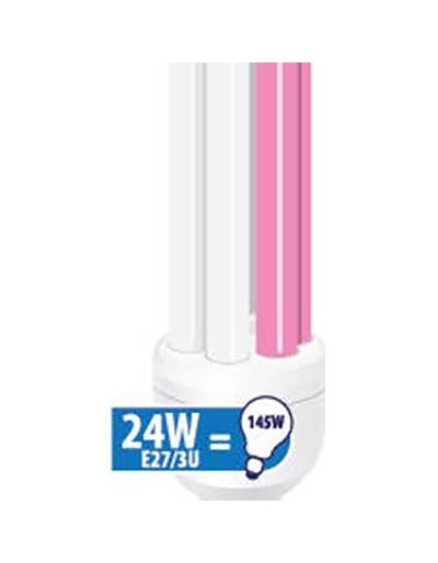 Energy saving lamp for pink and white