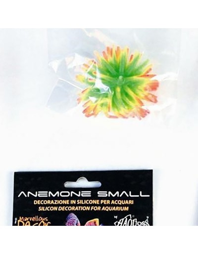 anemon haquoss&lt;br&gt;mały kolor do wyboru