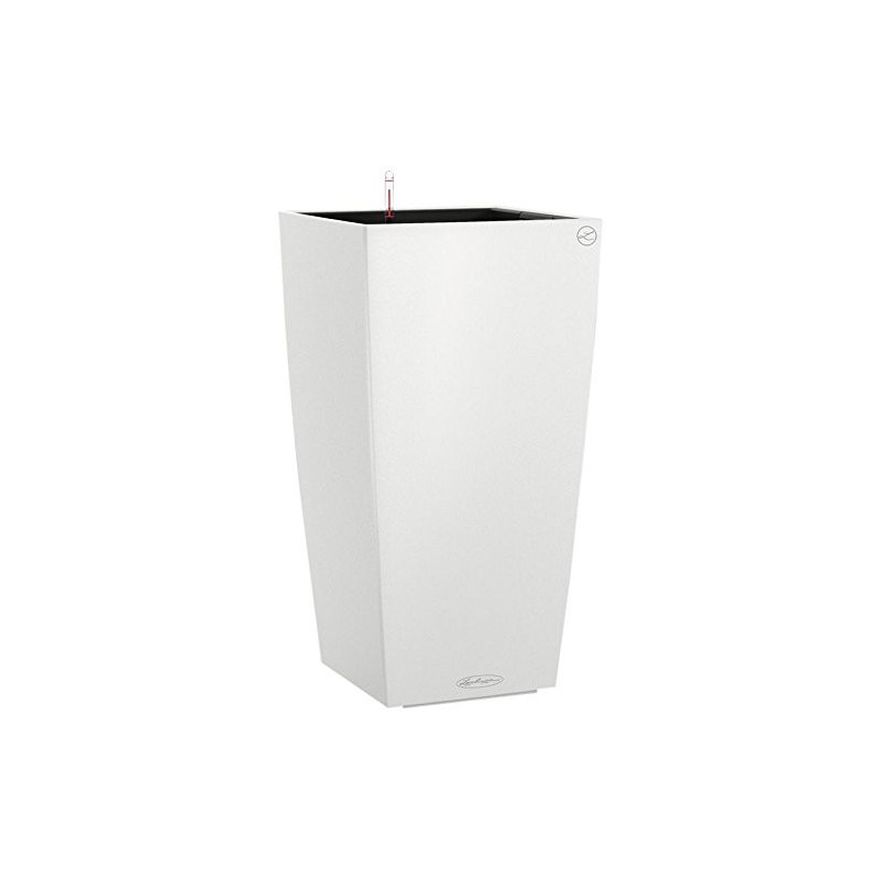 CUBIC COLOR 30cm VIT... CUBIC COLOR 30cm VIT...
