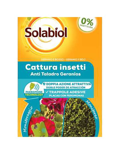 CATCH INSECTS GERANIUM UND BOSSO