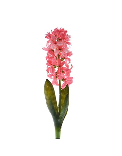 TIGE HYACINTHUS 41CM