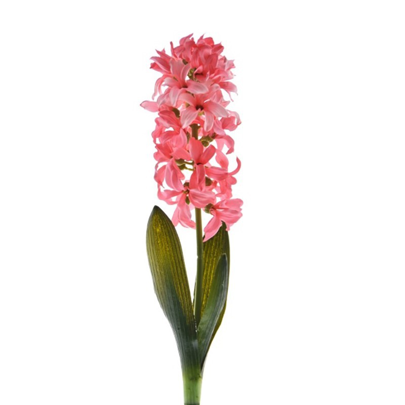 ŁODZIEŃ HIACYNTOWA 41CM ŁODZIEŃ HIACYNTOWA 41CM