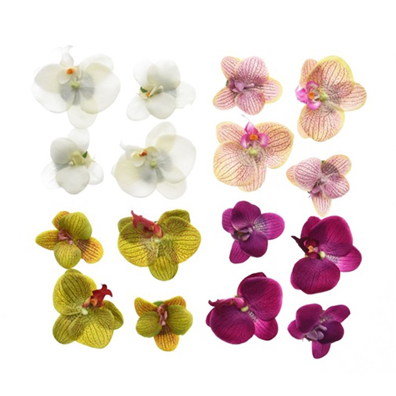 SCHWIMMENDE PHALAENOPSIS SCHWIMMENDE PHALAENOPSIS