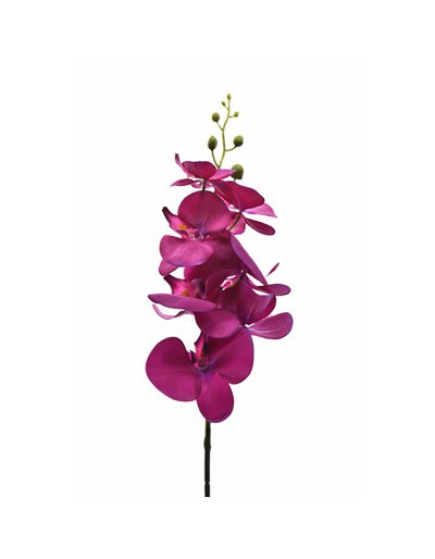 ORCHIDÉE PHALAENOPSIS 7FL