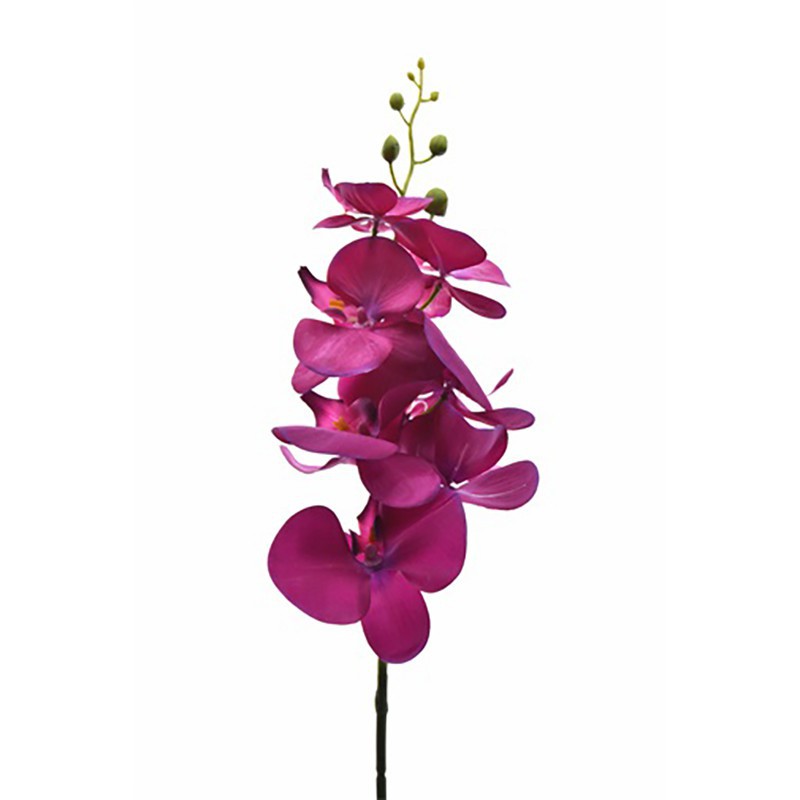 ORQUÍDEA PHALAENOPSIS 7FL