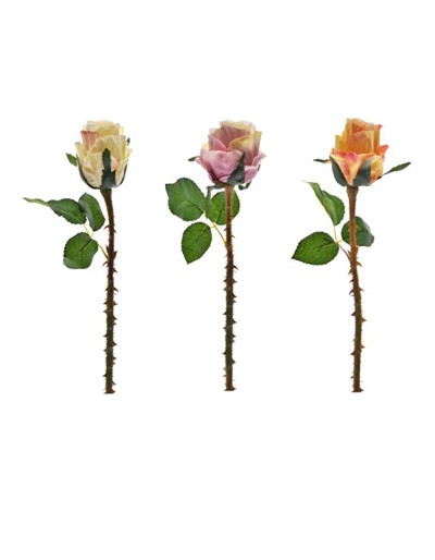 ROSE BUD 37CM