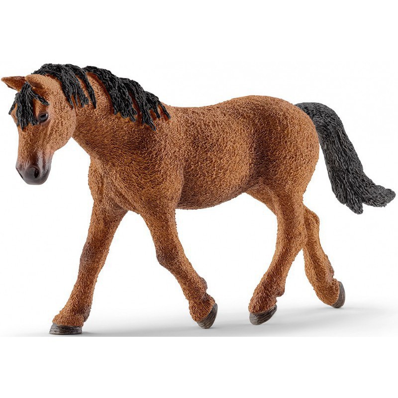 MARE BASHKIR CURLY MARE BASHKIR CURLY