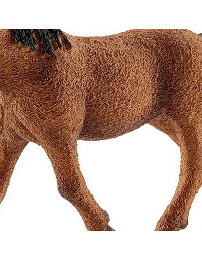 Kędzierzawy koń baszkirski