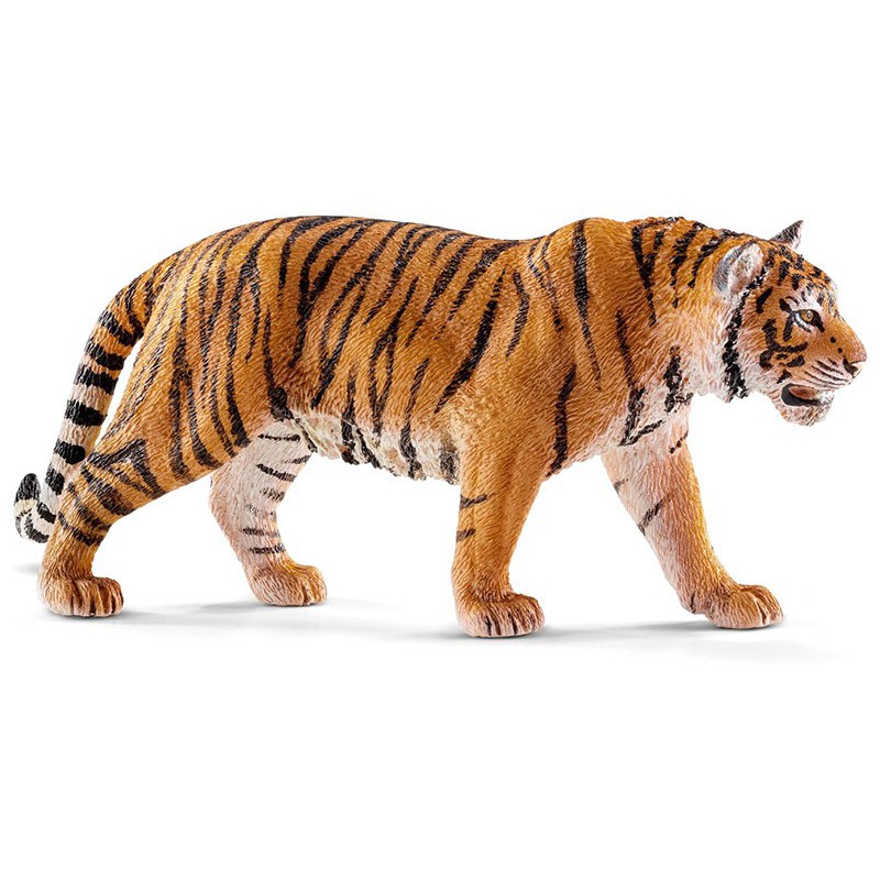 Tiger Tiger