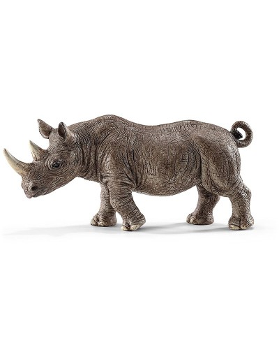 Nashorn