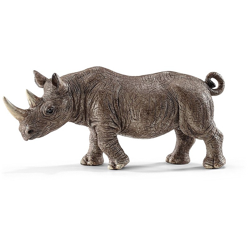 Rhino Rhino