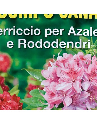 COMPO SANA AZALEE E RODODENDRI 20