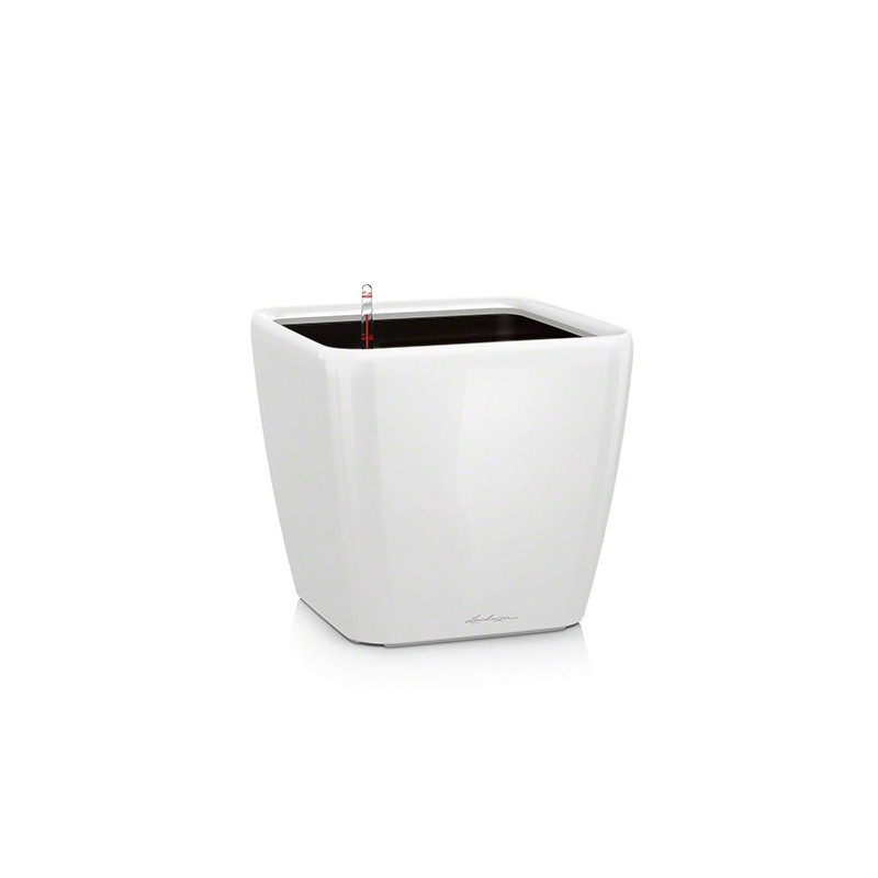 Lechuza Quadro premium 43 -... Lechuza Quadro premium 43 -...