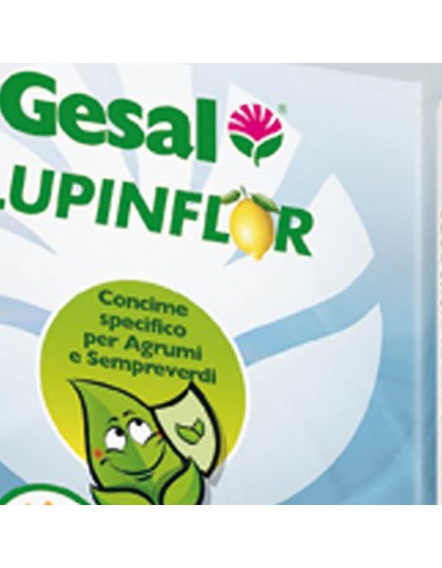 GESAL LUMINFLOR 800GR