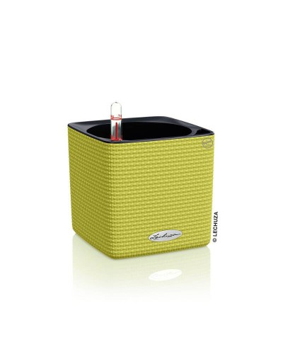 CUBE COLOR 14 CM PISTACHIO COMPLETE SET IN/OUT