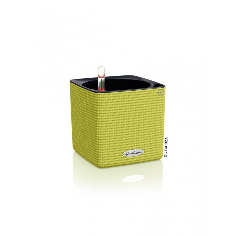 CUBE COLOR 14 CM PISTACHIO COMPLETE SET IN/OUT